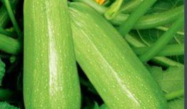 网红吃瓜劲爆图片大全,劲爆图片大盘点